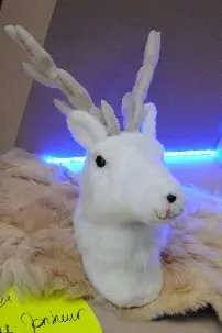Tête de cerf blanc seule