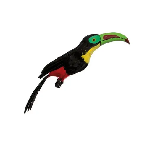 Toucan avec plumes