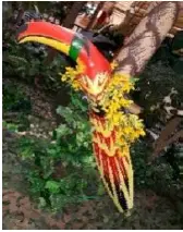 Toucan en bois peint