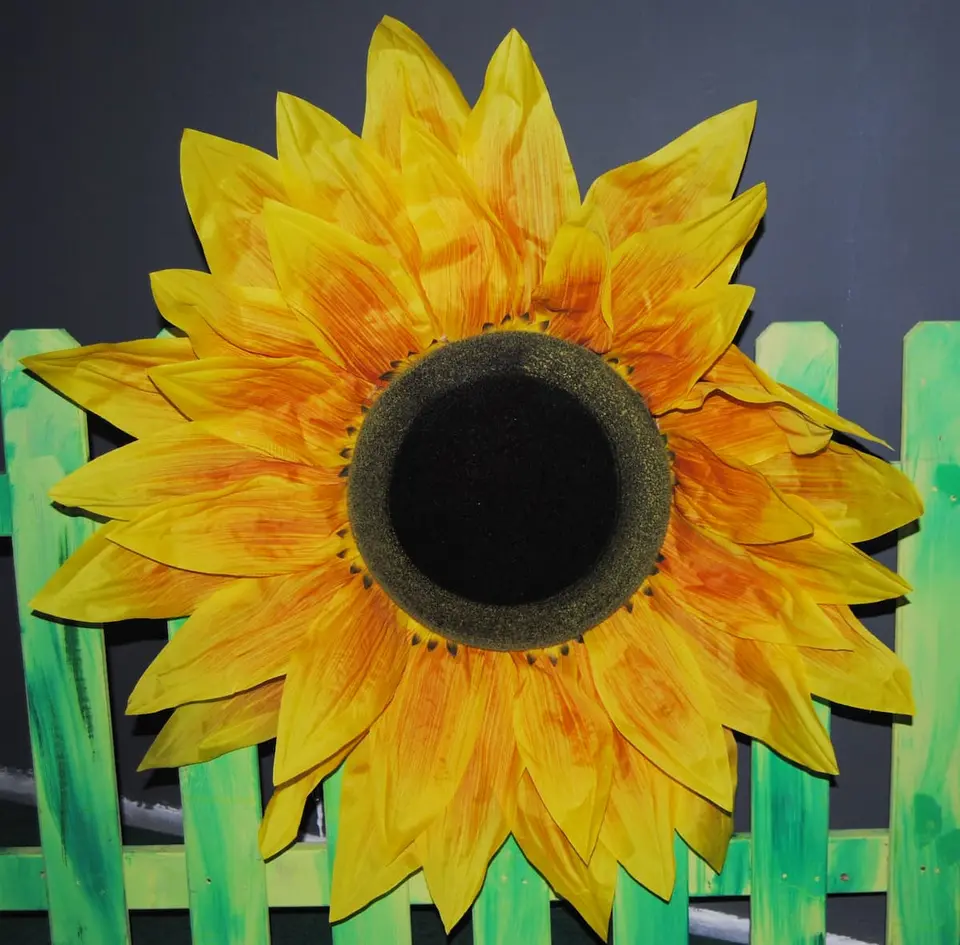 Tournesol géant