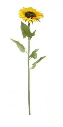 Tournesol géant sur tige