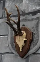 Trophée corne (grand)