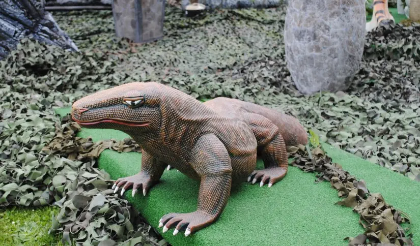 Varan