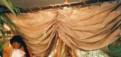 Voile seul sur rondin en bois